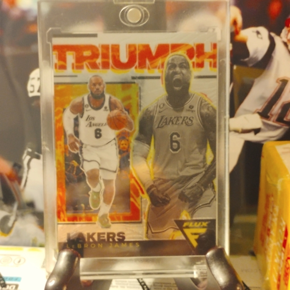 LeBron James Flux